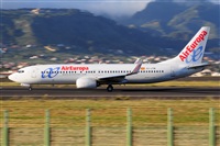 Miguel A. gueda Rguez.  (CANARY ISLANDS SPOTTING). Click to see full size photo