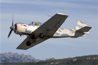Pere  Escala - Spotters Barcelona-El Prat. Click to see full size photo