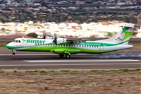 Javier de la Cruz - CANARY ISLANDS SPOTTING. Click to see full size photo