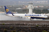 Miguel A. gueda Rguez.  (CANARY ISLANDS SPOTTING). Click to see full size photo
