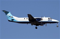 ©Alfonso Solís - Asociación Canary Islands Spotting. Click to see full size photo ©Alfonso Solís - Asociación Canary Islands Spotting. Click to see full size photo