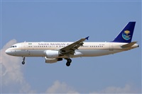 Miguel A. gueda Rguez.  (CANARY ISLANDS SPOTTING). Click to see full size photo