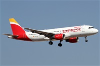 ©Alfonso Solís - Asociación Canary Islands Spotting. Click to see full size photo ©Alfonso Solís - Asociación Canary Islands Spotting. Click to see full size photo