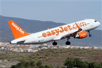 Alfonso Sols - Asociacin Canary Islands Spotting. Click to see full size photo