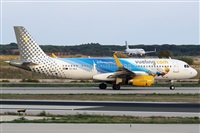 La Roche Spotters. Click to see full size photo