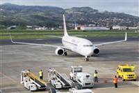 Nacho Rodriguez - Canary Islands Spotting. Click to see full size photo