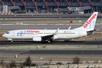 ©Alfonso Solís - Asociación Canary Islands Spotting. Click to see full size photo ©Alfonso Solís - Asociación Canary Islands Spotting. Click to see full size photo