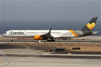 ©Alfonso Solís - Asociación Canary Islands Spotting. Click to see full size photo ©Alfonso Solís - Asociación Canary Islands Spotting. Click to see full size photo