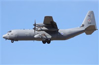 Guillermo Garca del Alamo. Click to see full size photo