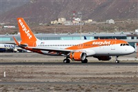 Alfonso Sols - Asociacin Canary Islands Spotting. Click to see full size photo