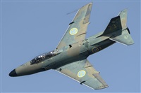 Tams. Click to see full size photo