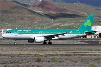 Alfonso Sols - Asociacin Canary Islands Spotting. Haz click para ampliar