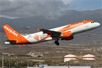 Alfonso Sols - Asociacin Canary Islands Spotting. Click to see full size photo