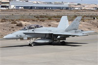 Alfonso Sols - Asociacin Canary Islands Spotting. Click to see full size photo