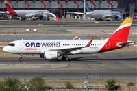 ©Alfonso Solís - Asociación Canary Islands Spotting. Click to see full size photo ©Alfonso Solís - Asociación Canary Islands Spotting. Click to see full size photo