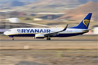 Miguel A. gueda Rguez.  (CANARY ISLANDS SPOTTING). Click to see full size photo