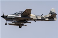 Adolfo Bento - Gran Canaria Spotters. Click to see full size photo