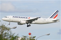 Miguel A. gueda Rguez.  (CANARY ISLANDS SPOTTING). Haz click para ampliar