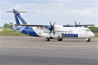 Miguel A. gueda Rguez.  (CANARY ISLANDS SPOTTING). Click to see full size photo