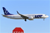 Miguel A. gueda Rguez.  (CANARY ISLANDS SPOTTING). Click to see full size photo