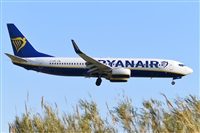 Miguel A. gueda Rguez.  (CANARY ISLANDS SPOTTING). Click to see full size photo