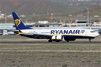 Alfonso Sols - Asociacin Canary Islands Spotting. Click to see full size photo