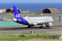 Miguel A. gueda Rguez.  (CANARY ISLANDS SPOTTING). Haz click para ampliar