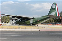 Csar Prieto. Click to see full size photo