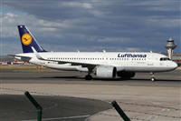 Alfonso Sols - Asociacin Canary Islands Spotting. Click to see full size photo