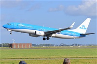 Miguel A. gueda Rguez.  (CANARY ISLANDS SPOTTING). Click to see full size photo