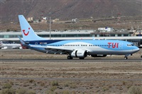 Alfonso Sols - Asociacin Canary Islands Spotting. Click to see full size photo
