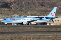 Alfonso Sols - Asociacin Canary Islands Spotting. Click to see full size photo