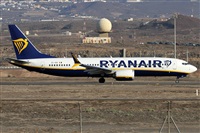 Alfonso Sols - Asociacin Canary Islands Spotting. Haz click para ampliar