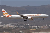 ©Adolfo Bento - Gran Canaria Spotters. Click to see full size photo ©Adolfo Bento - Gran Canaria Spotters. Click to see full size photo