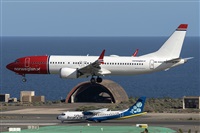 �Adolfo Bento - Gran Canaria Spotters. Click to see full size photo