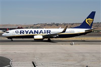 ©Alfonso Solís - Asociación Canary Islands Spotting. Haz click para ampliar ©Alfonso Solís - Asociación Canary Islands Spotting. Haz click para ampliar