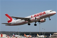 �Alfonso Sol�s - Asociaci�n Canary Islands Spotting. Click to see full size photo