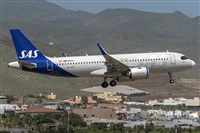 ©Adolfo Bento - Gran Canaria Spotters. Click to see full size photo ©Adolfo Bento - Gran Canaria Spotters. Click to see full size photo