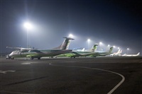 Javier de la Cruz - CANARY ISLANDS SPOTTING. Click to see full size photo
