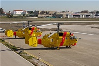 Carlos Moreira  *  PortugalSpotters.org. Click to see full size photo