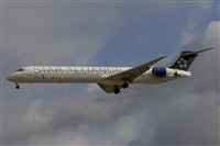 Jos Miguel Bernases - Noisy Spotters. Click to see full size photo