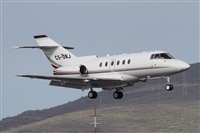 Alfonso Sols - Asociacin Canary Islands Spotting. Click to see full size photo