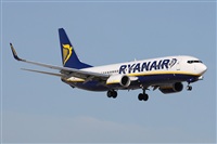 Alfonso Sols - Asociacin Canary Islands Spotting. Click to see full size photo