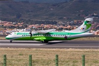 Javier de la Cruz - CANARY ISLANDS SPOTTING. Click to see full size photo
