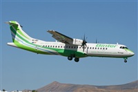 Adrin Alonso Lemes - Lanzarote Spotters. Click to see full size photo