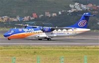 Alejandro Bethencourt (Canary Islands Spotting). Click to see full size photo