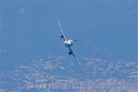Rodrigo Carvalho - Noisy Spotters. Click to see full size photo