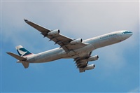 Chalo Canary Islands Spotting. Click to see full size photo