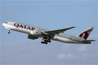 Cele - Spotters BCN. Click to see full size photo