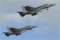 Luciano Fumero( freedom spotter)canary island spotting. Click to see full size photo
